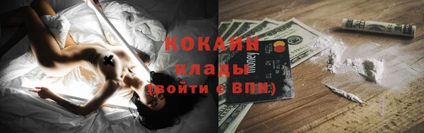 спиды Пересвет