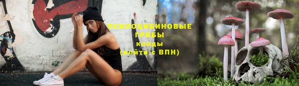 скорость Куртамыш