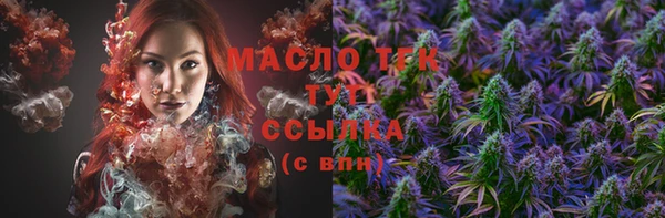 ECSTASY Дмитриев