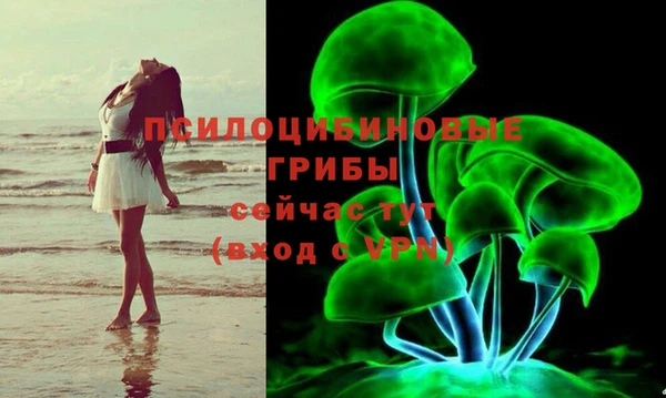 гашиш Переславль-Залесский